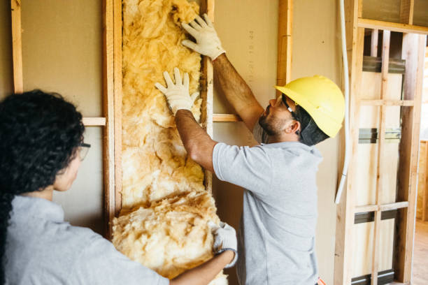 Best Insulation Contractors for Homes  in Aspinwall, PA